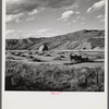 Cutting and raking hay in the valley near Aspen, Colorado.