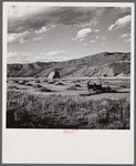 Cutting and raking hay in the valley near Aspen, Colorado.