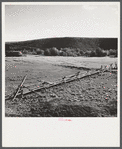 Rail fence around hay field near Aspen, Colorado.