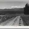 Rail fence around pasture and grazing lands. Near Granby, Colorado.