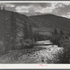Log bridge across Frying Pan Creek from the road to the ranch house. Near Meredith, Colorado.