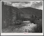 Log bridge across Frying Pan Creek from the road to the ranch house. Near Meredith, Colorado.