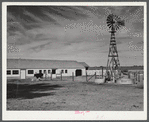New dairy barn. FSA (Farm Security Administration) cooperative enterprise on the Scottsbluff Farmsteads FSA project. North Platte River Valley, Nebraska.