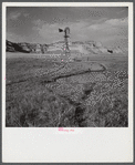 Cattle paths to water hole by windmill on grazing land near Scottsbluff, Nebraska. North Platte River Valley.