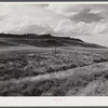 Grazing land and grass on King ranch. Laramie, Wyoming.