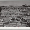 Stockyards. Denver, Colorado.