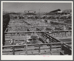 Stockyards. Denver, Colorado.
