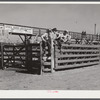 Stockyards. Denver, Colorado.