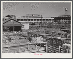 Stockyards. Denver, Colorado.