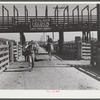Stockyards. Denver, Colorado.