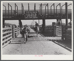 Stockyards. Denver, Colorado.
