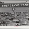Stockyards, with packing house in the background. At Denver, Colorado.