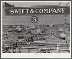 Stockyards, with packing house in the background. At Denver, Colorado.
