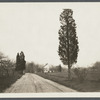 House. East of Mt. Pleasant Road at junction with road from Smithtown Branch to Hauppaugue. Smithtown, Smithtown