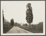 House. East of Mt. Pleasant Road at junction with road from Smithtown Branch to Hauppaugue. Smithtown, Smithtown