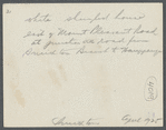 House. East of Mt. Pleasant Road at junction with road from Smithtown Branch to Hauppaugue. Smithtown, Smithtown