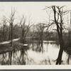 Pond south of Capt. Lewis W. Davis house. Smithtown, Smithtown