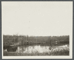 Phillips Mill. Smithtown, Smithtown