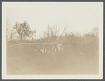 Gristmill. Northeast corner of Bridge Street and Spring Street. Bridge Street in foreground. Stony Brook, Smithtown