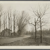 View of Middle Country Road looking east. Coram, Brookhaven