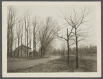 View of Middle Country Road looking east. Coram, Brookhaven