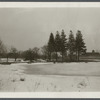 View of Pond at east end of settlement at Millers Place. Coram, Brookhaven