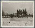 View of Pond at east end of settlement at Millers Place. Coram, Brookhaven