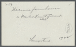 W.T.D. Maurice Farmhouse. On United Hunt Club ground, opposite Belmont Park. Southwest side of Hempstead Turnpike (Fulton Street). Hempstead, Hempstead
