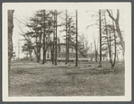 Jacob Betz House. South side Jericho Turnpike on line of 246th Street. Opposite Queen Road (rocky hill road). Bellerose Terrace, Hempstead