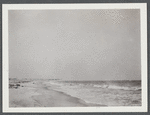 View of beach at "Point Lookout." Settlement on left. Hempstead, Hempstead