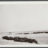 View of beach at "Point Lookout." Hempstead, Hempstead