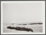 View of beach at "Point Lookout." Hempstead, Hempstead
