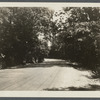 View of road to Roslyn, just outside of Roslyn. Roslyn, North Hempstead