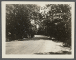 View of road to Roslyn, just outside of Roslyn. Roslyn, North Hempstead