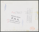 Pullets in poultry house. Two Rivers Non-Stock Cooperative, a FSA (Farm Security Administration) co-op. Waterloo, Nebraska.