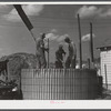 Members of the co-op filling a member's silo with corn. Two River Non-Stock Cooperative, FSA (Farm Security Administration) co-op. Waterloo, Nebraska.
