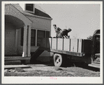 Harvey Renninger with helper, Tony Ringler, delivering coal to one of the families of Two River Non-Stock Cooperative, a FSA (Farm Security Administration) co-op at Waterloo, Nebraska.