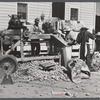 Sorting and grading and bagging early potatoes to be hauled by truck and shipped to all parts of the country. Gilcrest, Colorado.