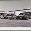 Truckloads of potatoes in front of sorting, grading, and bagging sheds. From here they are shipped to all parts of the country. Gilcrest, Colorado.