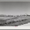 Dr. C. R. Watson's Hereford cattle ranch. Mitchell, Nebraska, in the Sandhills.