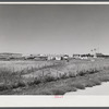 Dr. C. R. Watson's Hereford cattle ranch. Mitchell, Nebraska, in the Sandhills.