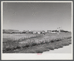 Dr. C. R. Watson's Hereford cattle ranch. Mitchell, Nebraska, in the Sandhills.