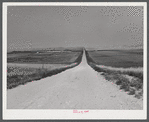 Dr. C. R. Watson's Hereford cattle ranch. Mitchell, Nebraska, in the Sandhills.