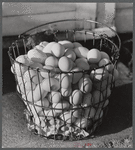 Eggs of Two Rivers Non-Stock Cooperative, a FSA co-op. Waterloo, NE. At the present time co-op eggs are marketed through cafes, restaurants and eating houses various institutions. The demand for the co-op's premium eggs is in excess of supply.