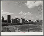 Silo and grain storage bins by dairy barn. Two River Non-Stock Cooperative, a FSA (Farm Security Administration) co-op. Waterloo, Nebraska.
