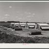 Poultry houses at Two Rivers Non-Stock Cooperative, a FSA (Farm Security Administration) co-op. Waterloo, Nebraska.