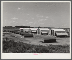 Poultry houses at Two Rivers Non-Stock Cooperative, a FSA (Farm Security Administration) co-op. Waterloo, Nebraska.