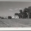 Houses at Two Rivers Non-Stock Cooperative, a FSA (Farm Security Administration) co-op. Waterloo, Nebraska.