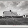 Barn and feeding pens and troughs on Tom Reed farm. Lexington, Nebraska.