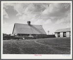 Barn and feeding pens and troughs on Tom Reed farm. Lexington, Nebraska.